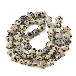 Нити бусин из натуральной далматинской яшмы в форме звезды G-Z080-A08