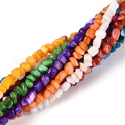 Нити бусин из натуральных пресноводных ракушек&nbsp;SHEL-N037-04A