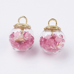 Стеклянный шар подвески&nbsp;LS-GLAA-N0020-02E