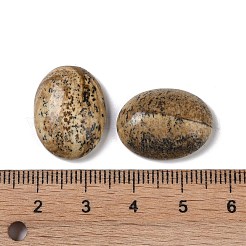 Natur Bildjaspisses cabochons&nbsp;G-B080-01A-11