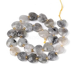 Natur Labradorit Perlen Stränge&nbsp;LS-G-P592-B14-01