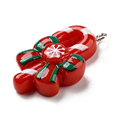 Подвески из непрозрачной смолы&nbsp;CRES-D010-01H-01