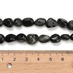 Natürliche Adlerauge Steinperlen&nbsp;G-D108-A02-03