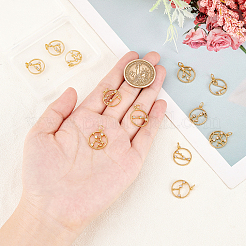 12шт 12 стиля латунные подвески с микропаве и кубическим цирконием&nbsp;KK-FH0004-43