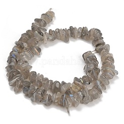 Perline labradorite naturale fili&nbsp;GG-CBAC61B-C06-01
