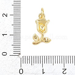 Pendentifs en laiton micro pavé de zircone cubique transparent pour la saint-valentin&nbsp;KK-D258-43G-02