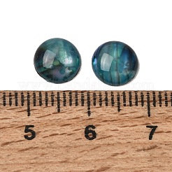 Abalone-Muschel / Paua-Muschel-Cabochons&nbsp;SSHEL-K003-8MM