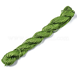 Fil de nylon pour la fabrication de bijoux&nbsp;NWIR-R002-1mm-33