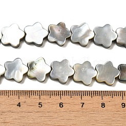 Нити бусин из натуральной черной ракушки для губ SHEL-M021-02A