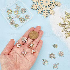 60шт 10 стиля подвески из сплава со стразами&nbsp;FIND-PH0028-36G