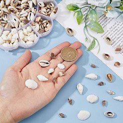 7 набор из натуральных ракушечных бусин BSHE-FH0001-02