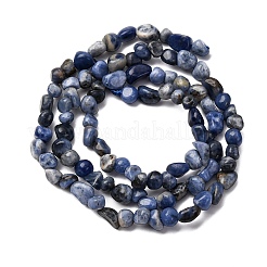 Природный содалит бисер нитей G-I389-A08