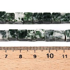 Натуральные зеленые пятна яшмовых нитей G-T139-6x6-23A