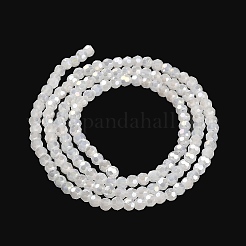 Ständer aus imitierten Jade-Glasperlen&nbsp;EGLA-A035-J3mm-B05