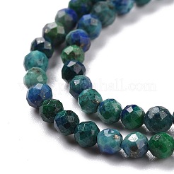 Natürliche Chrysokoll- und Lapislazuli-Perlenstränge&nbsp;X-G-D463-08C