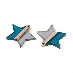 Прозрачные подвески из смолы и дерева RESI-T057-62A