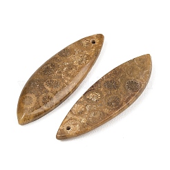 Pendentifs naturels de corail fossile&nbsp;G-B187-01C-06