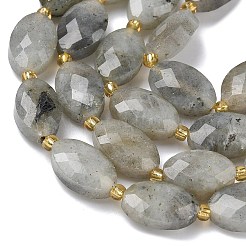 Природные лабрадорита бисер нитей&nbsp;G-A295-A01-01