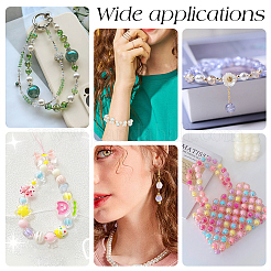 120шт 10 стиля прозрачные акриловые бусины&nbsp;TACR-PH0001-35