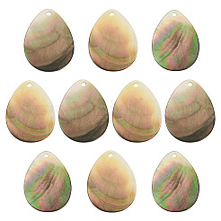 10 шт. подвески-ракушки из натуральной черной губной помады SHEL-TA0001-21