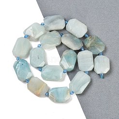 Brins de perles d'amazonite de fleurs naturelles&nbsp;G-B125-P05-01