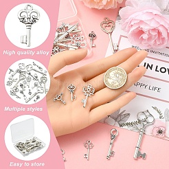 30шт 10 стиля подвески из сплава в тибетском стиле&nbsp;TIBEP-YW0002-07