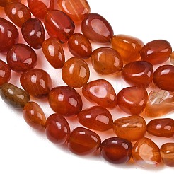 Chapelets de perles en cornaline naturelle&nbsp;GG-CBA787B-A40