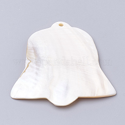 Пресноводных оболочки большие кулоны SHEL-Q019-004