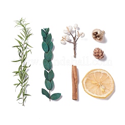 Сушеные цветы DIY-D052-08