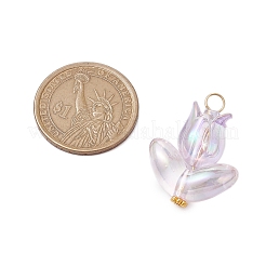 Подвески из акриловых бусин 6шт&nbsp;PALLOY-JF03023