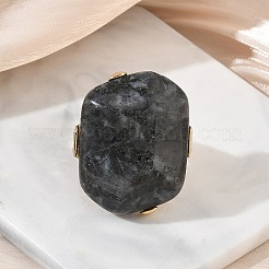 天然ラブラドライトと合金を使用した女性用指輪  ナゲット  ゴールドカラー  ナゲット：36.5~37x30mm  内径：17.5~19mm&nbsp;RJEW-G375-01G-05