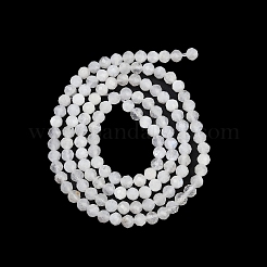 Бусины из натурального радужного лунного камня&nbsp;LS-G-RM250101-B20