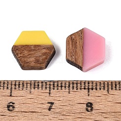 Harz- und Holz-Cabochons&nbsp;RESI-N053-38