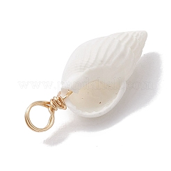 Кулоны из натуральных ракушек&nbsp;PALLOY-JF02682-01