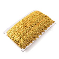 Отделка кружевом из полиэстера с блестками и пайетками&nbsp;SRIB-WH0011-047