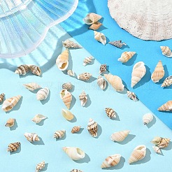 90 г 2 вида натуральных спиральных бусин из ракушек&nbsp;SSHEL-YW0001-09