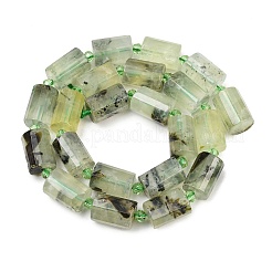 Природные пренит нитей бисера&nbsp;G-G453-E03-10x14mm