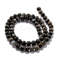 Бусины из натурального глаукофана G-O199-01B