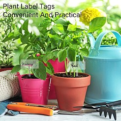 1 комплект акриловых этикеток для растений AJEW-CA0004-57A