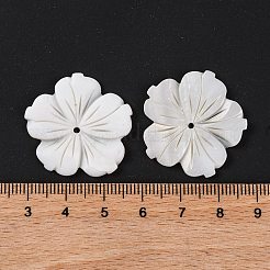 Резные бусины из натуральных пресноводных ракушек BSHE-S304-16