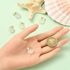 5 шт. подвески в форме ракушки из натурального агата&nbsp;G-YW0002-43