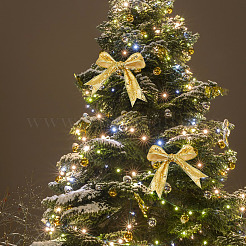 1 рулон полиэфирных лент&nbsp;SRIB-MA0001-10A