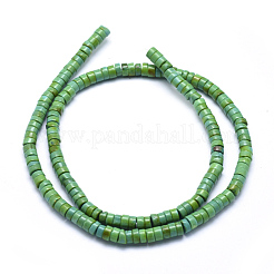 Бусины из натурального магнезита TURQ-G148-20-4mm