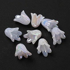 Акриловый шарик крышки OACR-C021-07