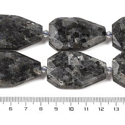 Натуральные нити бус из ларвикита G-P548-B23-01