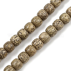 Натуральные бусины из семян рудракши бодхи WOOD-B010-A03-7x8mm