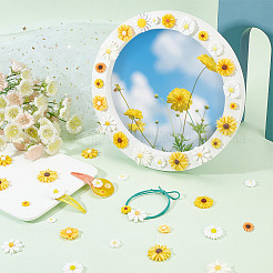 120 шт. 20 стиля плоские аксессуары для волос и костюма украшения украшения для скрапбукинга смоляные цветы ромашки кабошоны CRES-PH0001-14