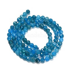 Природного апатита нитей бисера&nbsp;G-Z106-A01-4mm