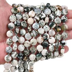 Натурального дерева агат бисер нитей G-F812-C05-01