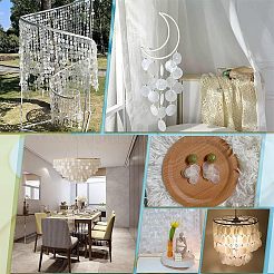 50 шт. подвески-соединители из натуральной ракушки Capiz FIND-HY0001-17